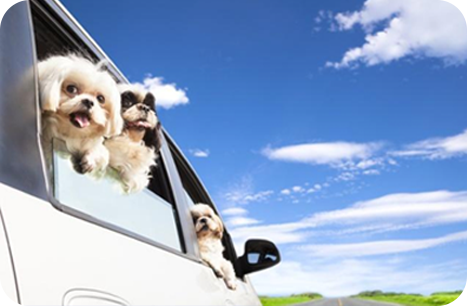 年中报告分析:解码新青年消费新趋势(图1) m1.png